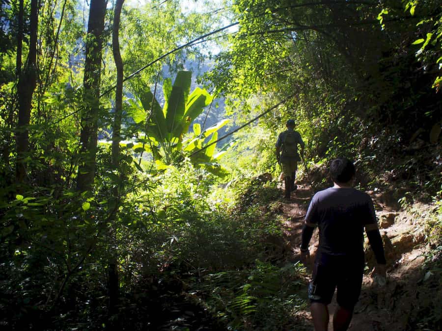 Chiang Mai: Chiang Dao Caves and Jungle Trek with Lunch - Cooling Off at the Hot Springs