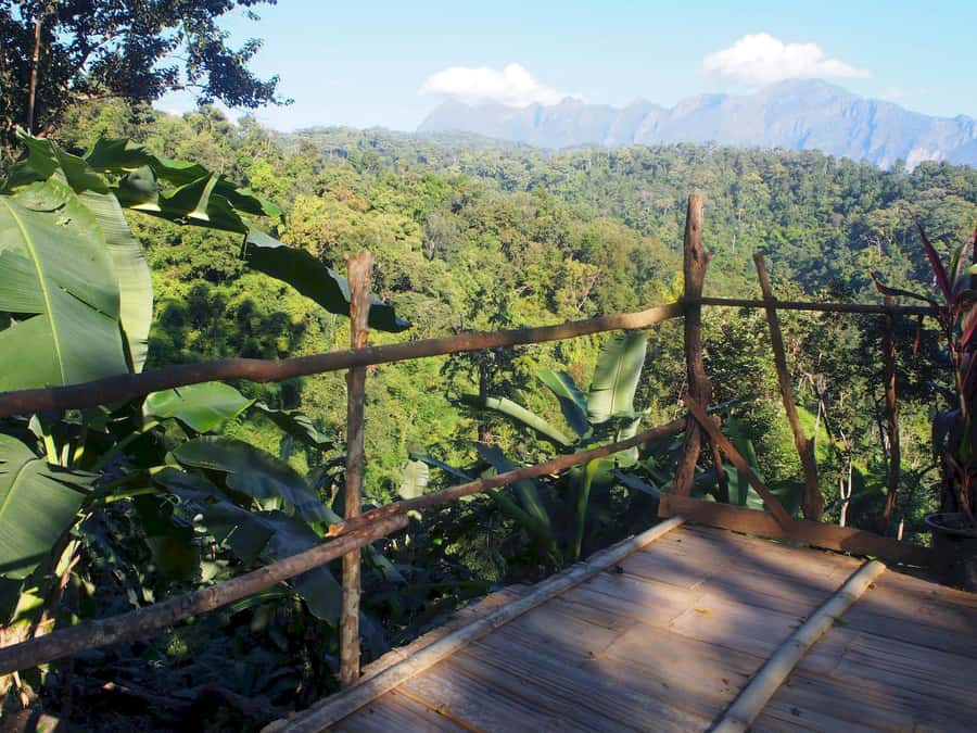 Chiang Mai: Chiang Dao Caves and Jungle Trek with Lunch - Price, Private Touring, and What You Receive