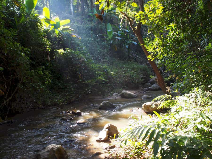 Chiang Mai: Chiang Dao Caves and Jungle Trek with Lunch - What to Bring for a Wet, Active Day