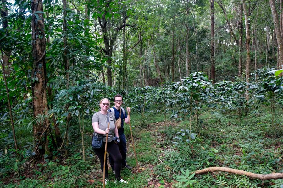 Chiang Mai Coffee Full Day Tour: Trek, Brew & Roast Journey. - Hill Tribe Farming Without a Stage Show