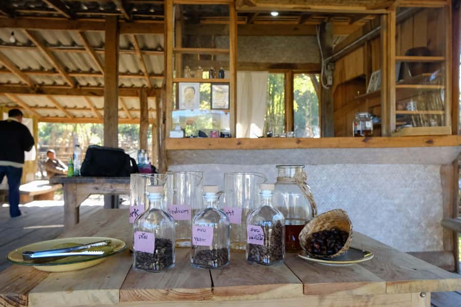 Chiang Mai Coffee Full Day Tour: Trek, Brew & Roast Journey. - A Vegetarian Lunch With Local Roots