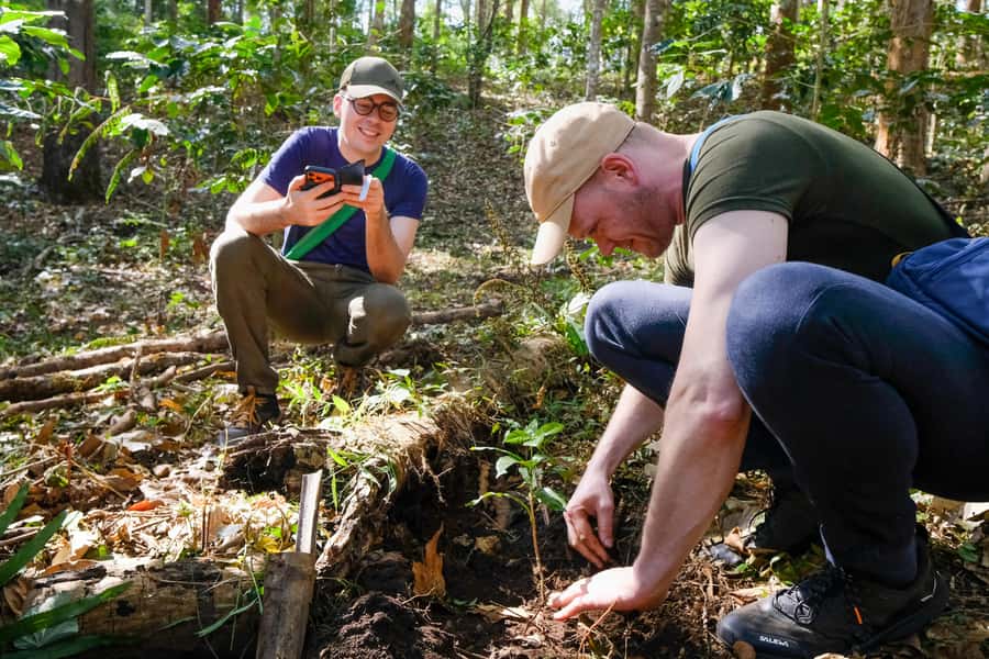Chiang Mai Coffee Full Day Tour: Trek, Brew & Roast Journey. - Roasting Beans You Can Take Home
