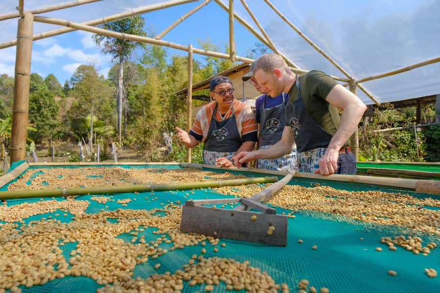 Chiang Mai Coffee Full Day Tour: Trek, Brew & Roast Journey. - Who Should Book This Day