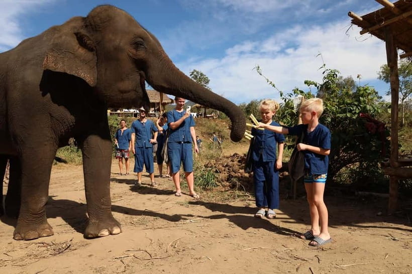 Chiang Mai: Doi Inthanon Hiking & Elephant Sanctuary Program - The best parts of the day