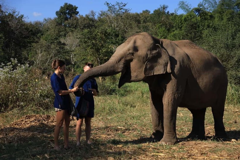 Chiang Mai: Doi Inthanon Hiking & Elephant Sanctuary Program - Pad Thai before the mountain roads