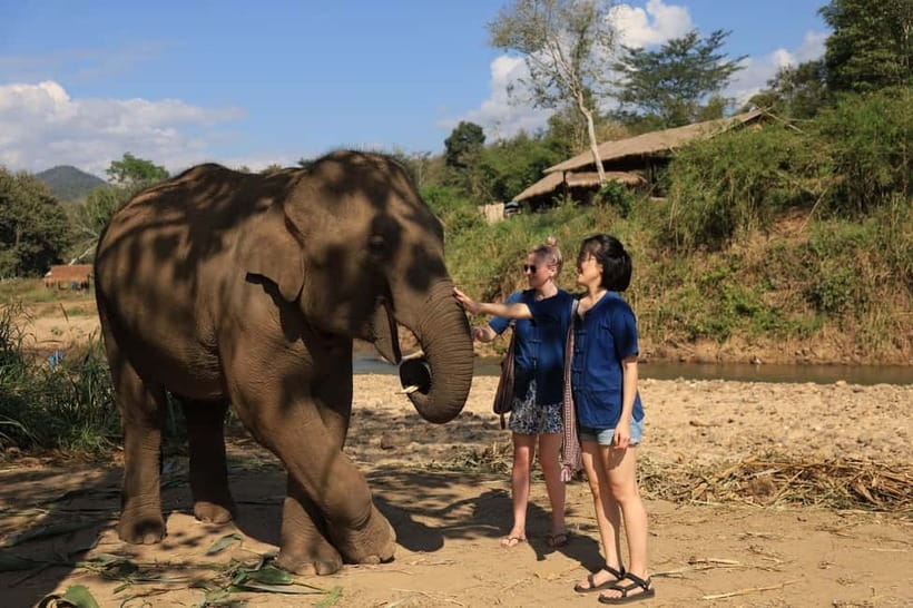 Chiang Mai: Doi Inthanon Hiking & Elephant Sanctuary Program - Reaching Doi Inthanon, Thailand’s highest mountain