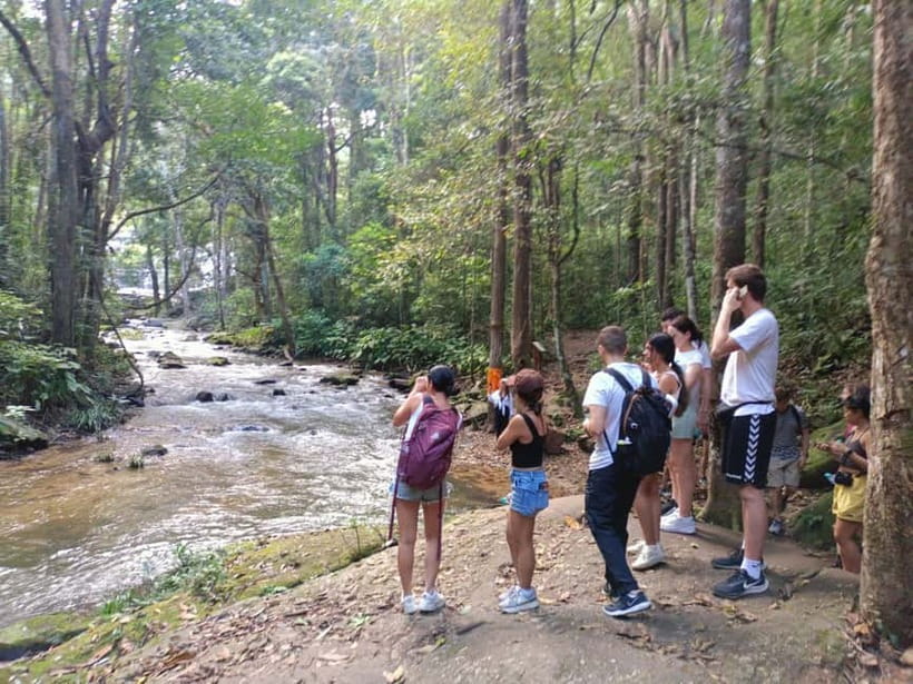 Chiang Mai: Doi Inthanon Hiking & Elephant Sanctuary Program - Is $56 a fair price?