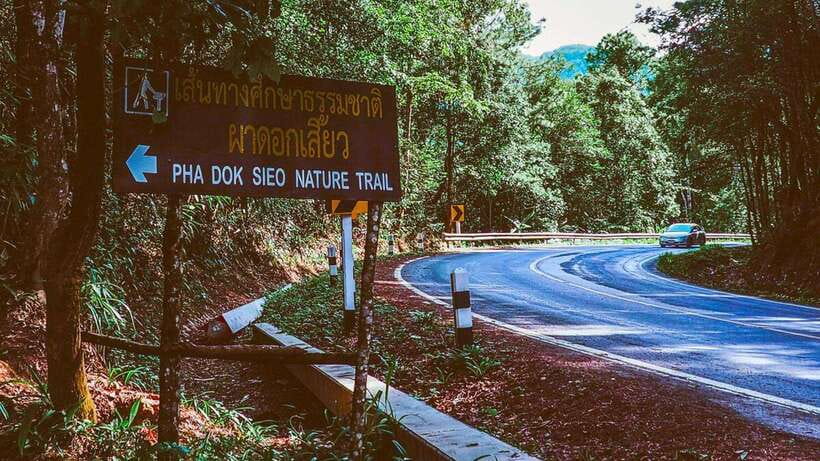 Chiang Mai: Doi Inthanon National Park and Pha Dok Siew Trek - Who should book this experience?