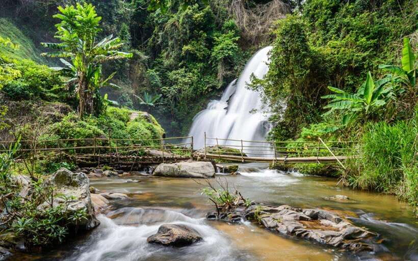 Chiang Mai: Doi Inthanon National Park and Pha Dok Siew Trek - Doi Inthanon’s forest, market, and mountain air