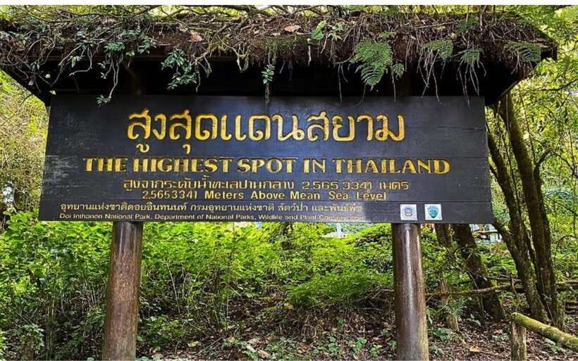 Chiang Mai: Doi Inthanon National Park and Pha Dok Siew Trek - Guides, van comfort, and the pace