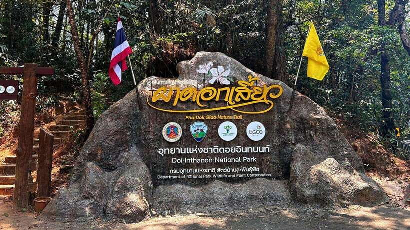 Chiang Mai: Doi Inthanon National Park and Pha Dok Siew Trek - Getting out of Chiang Mai and into the hills