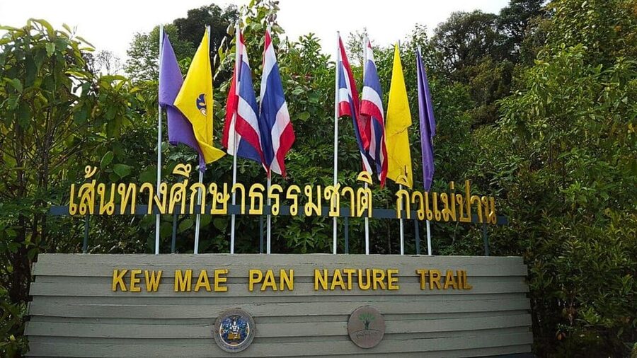 Chiang Mai:Doi Inthanon National Park & Hike at Kew Mae Pan - Timing, comfort, and practical planning