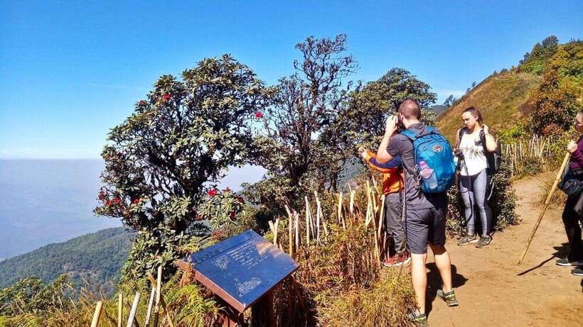 Chiang Mai:Doi Inthanon National Park & Hike at Kew Mae Pan - Why Doi Inthanon makes a strong day trip from Chiang Mai
