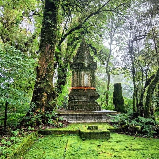Chiang Mai: Doi Inthanon National Park+Trek Pha Dok Siew - Key things to know before booking