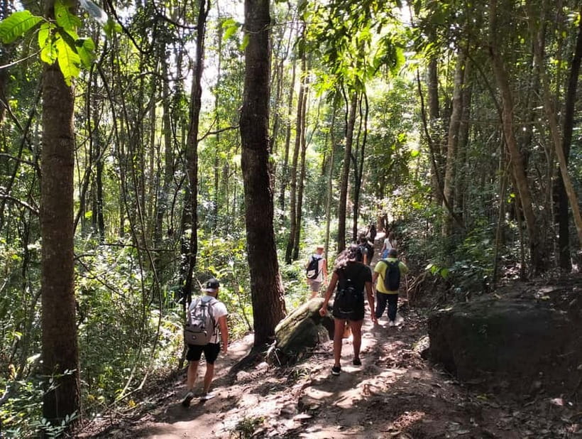 Chiang Mai: Doi Inthanon National Park+Trek Pha Dok Siew - The Hmong Market and Wachiratharn Waterfall