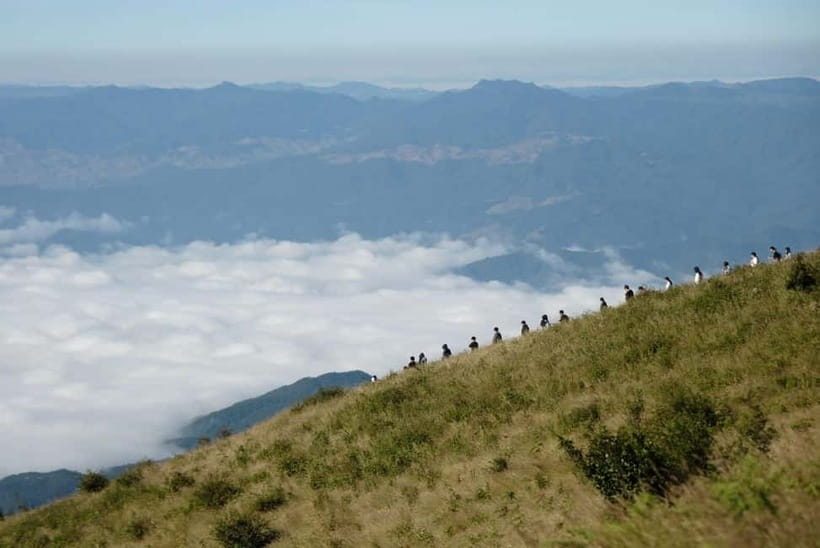 Chiang Mai: Doi Inthanon Park and Kew Mae Pan 2-Hour Hike - King and Queen Pagodas above the clouds