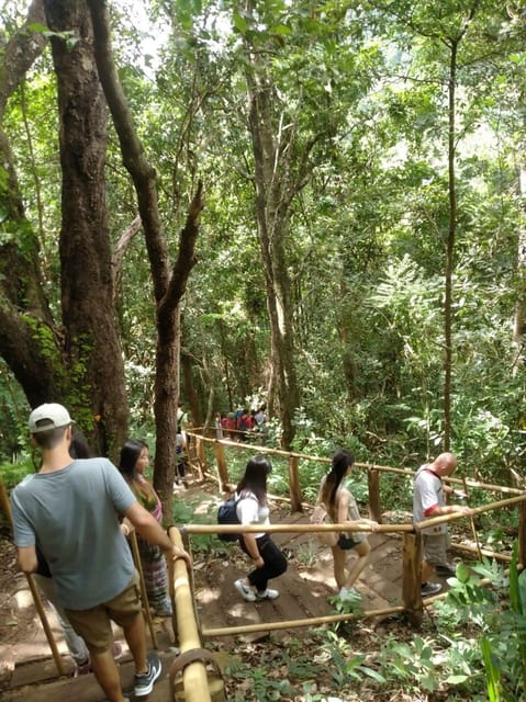 Chiang Mai: Doi Inthanon Park and Pha Dok Siew Hike Day Trip - The Twin Pagodas and uncertain mountain views