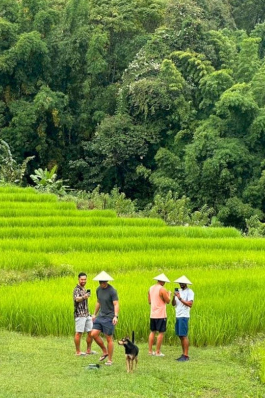Chiang Mai: Doi Inthanon Park and Pha Dok Siew Trail Trek - The highlights at a glance