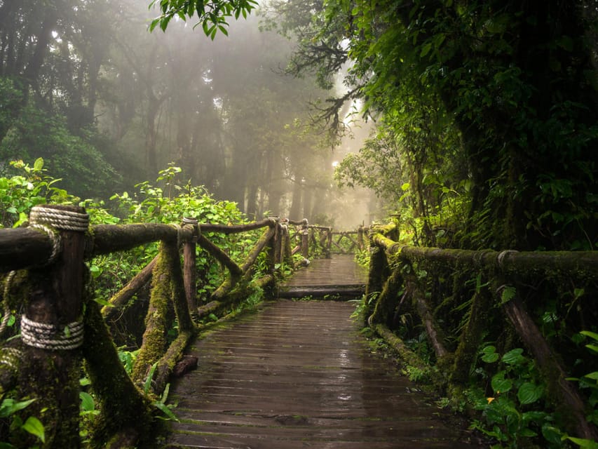 Chiang Mai: Doi Inthanon Park and Pha Dok Siew Trail Trek - Transport, timing, and group size