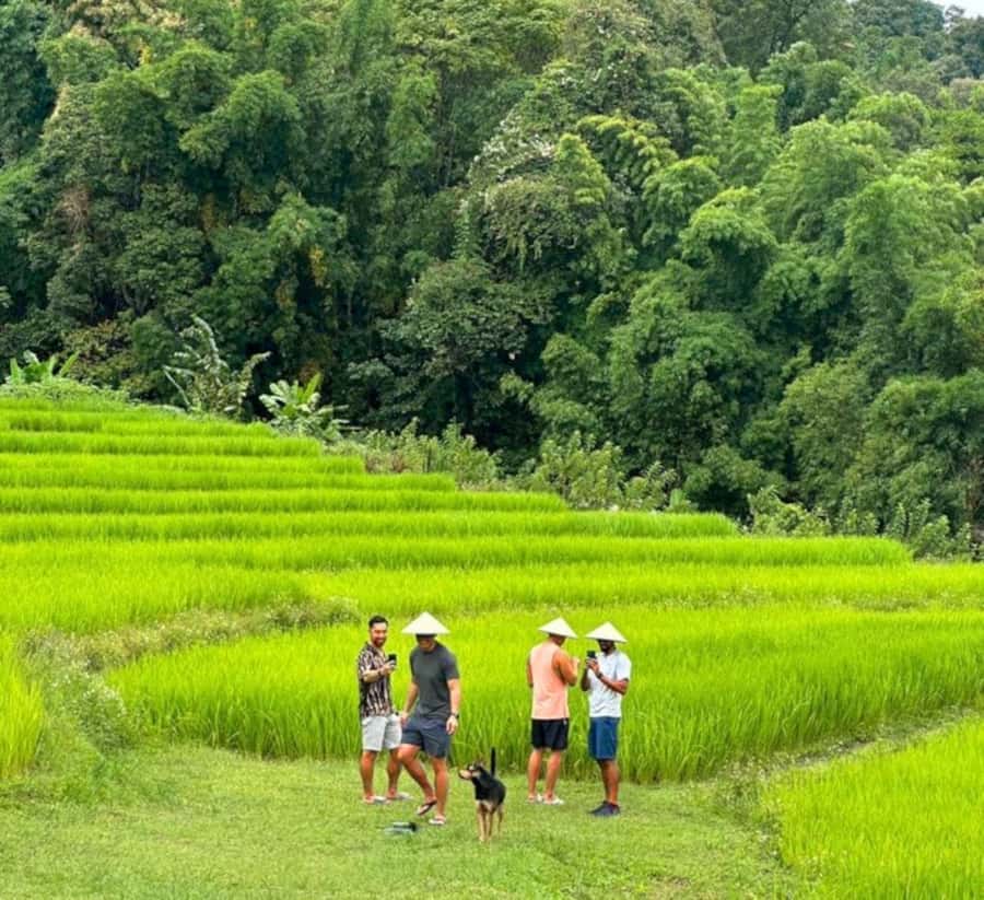 Chiang Mai: Doi Inthanon Park Hiking & Elephants Sanctuary - Key points to know before booking