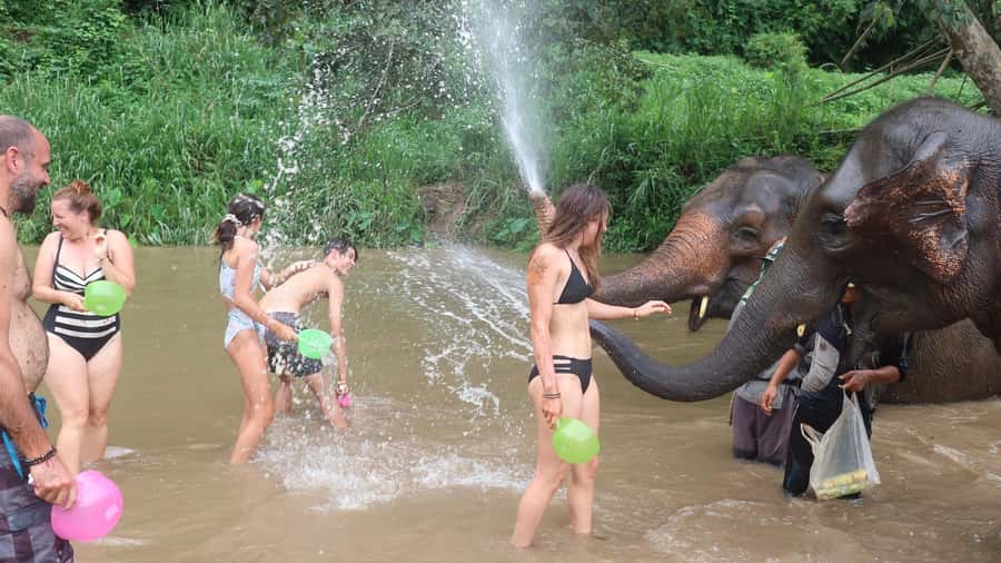 Chiang Mai: Doi Inthanon Park Hiking & Elephants Sanctuary - A respectful visit with rescued elephants