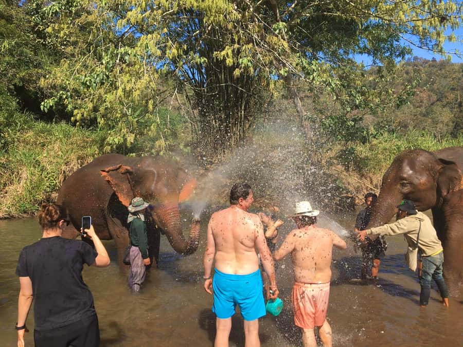 Chiang Mai: Doi Inthanon Park Hiking & Elephants Sanctuary - The King and Queen Pagodas and their gardens
