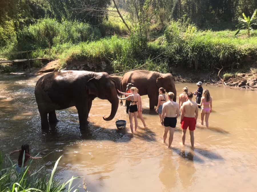 Chiang Mai: Doi Inthanon Park Hiking & Elephants Sanctuary - Walking the Pha Dok Siew Nature Trail