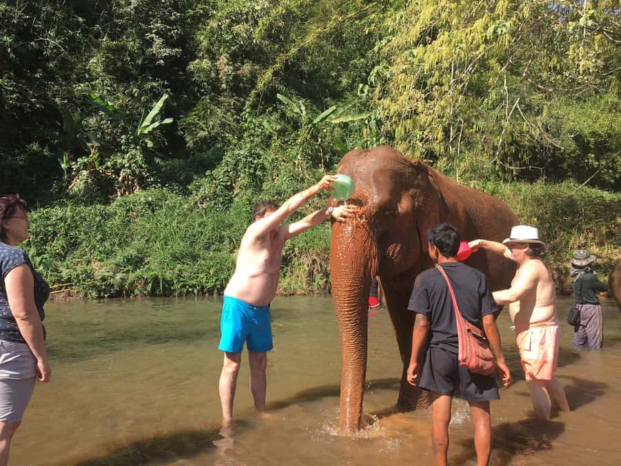 Chiang Mai: Doi Inthanon Park Hiking & Elephants Sanctuary - Baan Mae Klang Luang and the mountain coffee stop