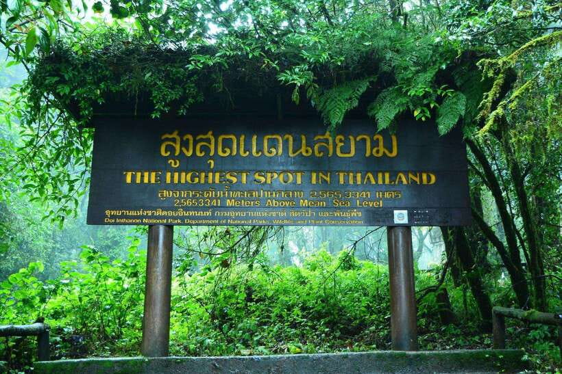 Chiang Mai: Doi Inthanon Park Tour & Kew Mae Pan Trail Hike - Why Doi Inthanon works as a full-day escape