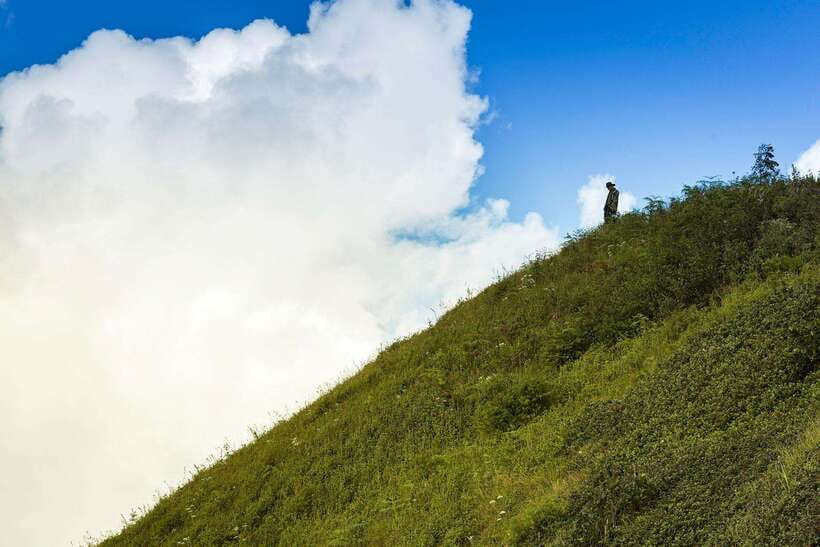 Chiang Mai: Doi Inthanon Park Tour & Kew Mae Pan Trail Hike - The Kew Mae Pan Nature Trail