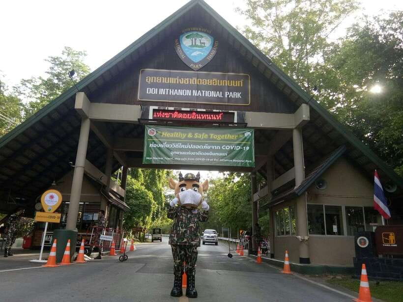 Chiang Mai: Doi Inthanon Park Tour & Kew Mae Pan Trail Hike - The guide can shape the day