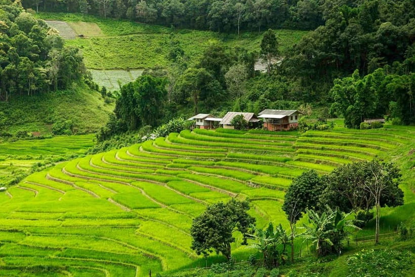 Chiang Mai: Doi Inthanon Trip with Pha Dok Siew Guided Trek - The day in five useful points
