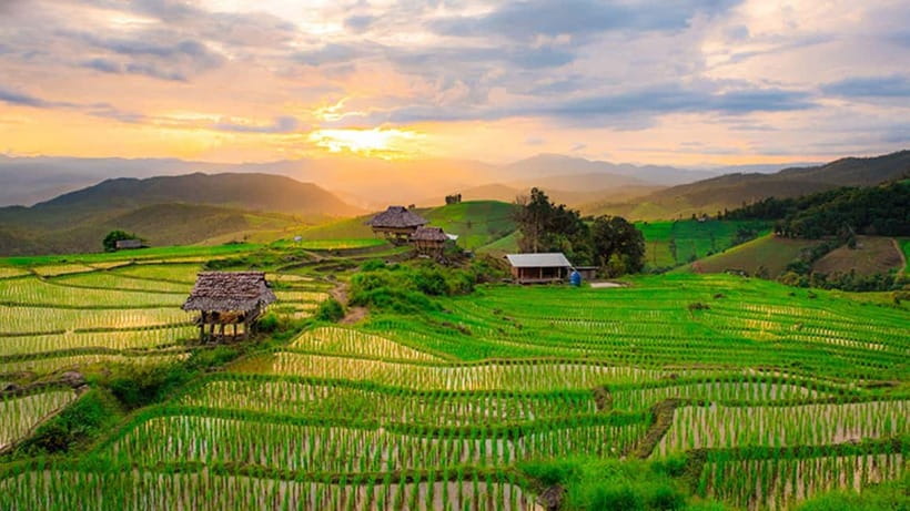 Chiang Mai: Doi Inthanon Trip with Pha Dok Siew Guided Trek - The King and Queen Pagodas above the clouds