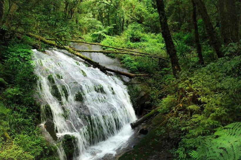 Chiang Mai: Doi Inthanon Trip with Pha Dok Siew Guided Trek - Pha Dok Siew: the best part of the day