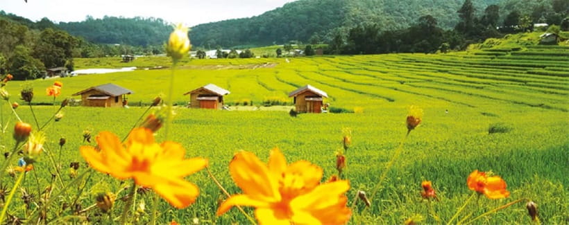 Chiang Mai: Doi Inthanon Trip with Pha Dok Siew Guided Trek - Lunch, coffee, and the Karen village connection