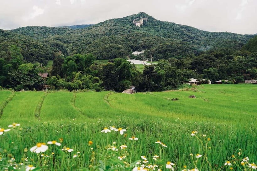 Chiang Mai: Doi Inthanon Trip with Pha Dok Siew Guided Trek - Wachirathan Waterfall and the afternoon road home