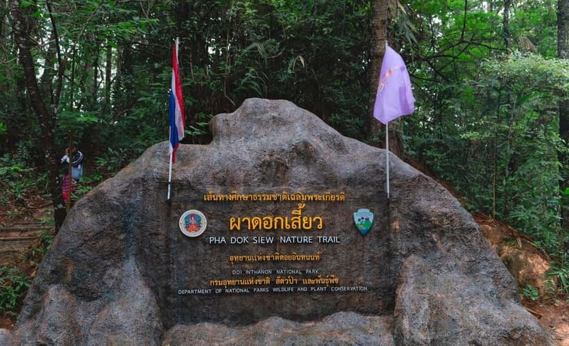 Chiang Mai: Doi Inthanon Trip with Pha Dok Siew Guided Trek - Morning pickup and the two-hour ride south