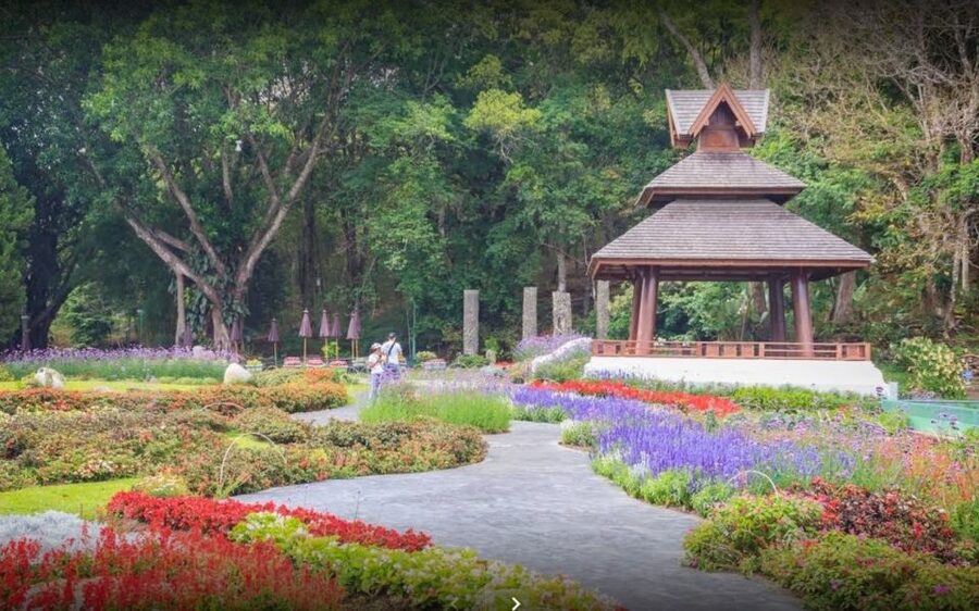 Chiang Mai: Doi Suthep National Park Leisure Hiking & Biking - Practical tips for a smoother day