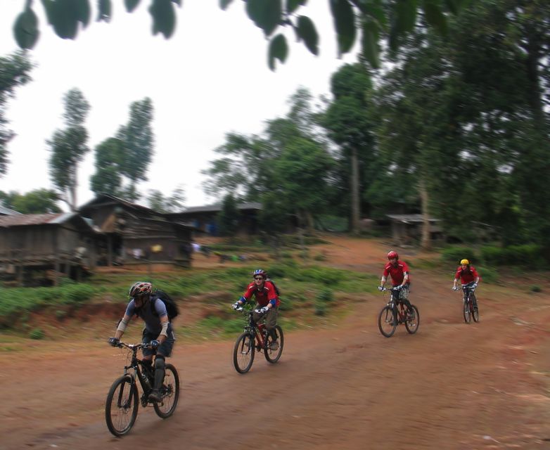 Chiang Mai: Doi Suthep National Park Leisure Hiking & Biking - Who should book this excursion?