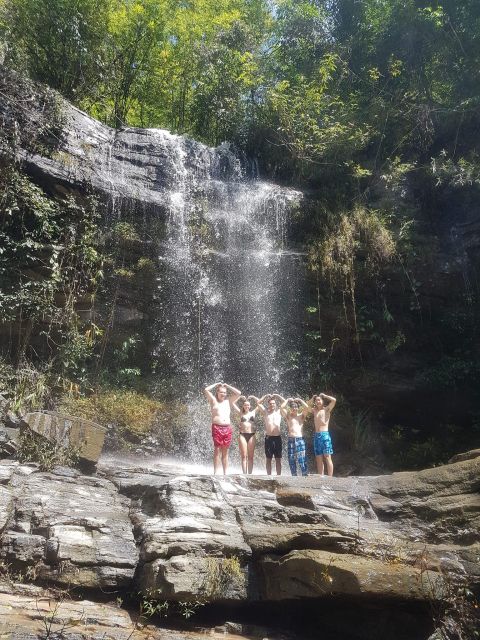Chiang Mai: Elephant Sanctuary & Jungle Trek w/ Waterfall - A full day south of Chiang Mai