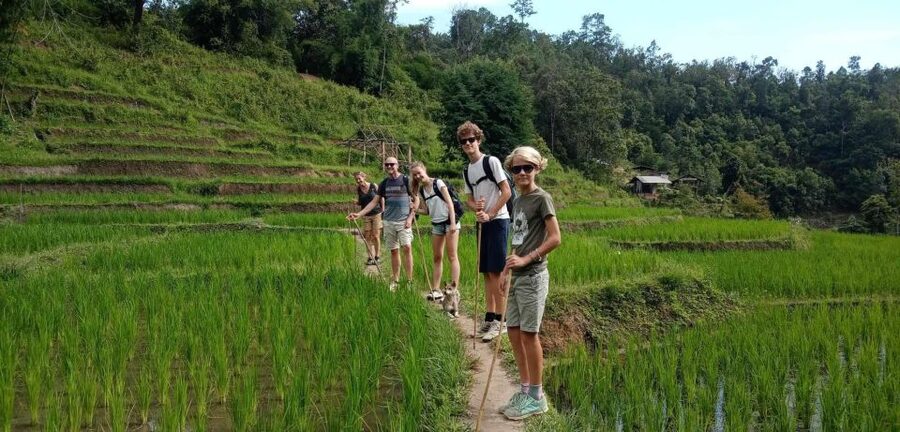 Chiang Mai: Elephant Sanctuary & Jungle Trek w/ Waterfall - The 30-minute walk to Mae Wang Waterfall