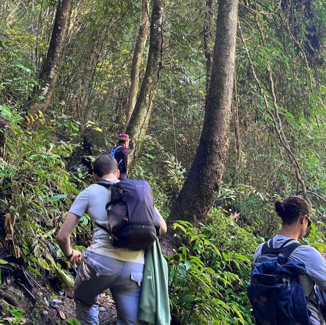 Chiang Mai: Elephant Sanctuary & Jungle Trek w/ Waterfall - What the $61 price really covers