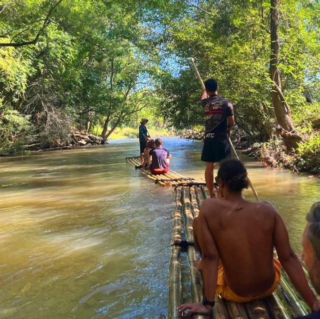 Chiang Mai: Elephant Sanctuary & Jungle Trek w/ Waterfall - Who should book this experience