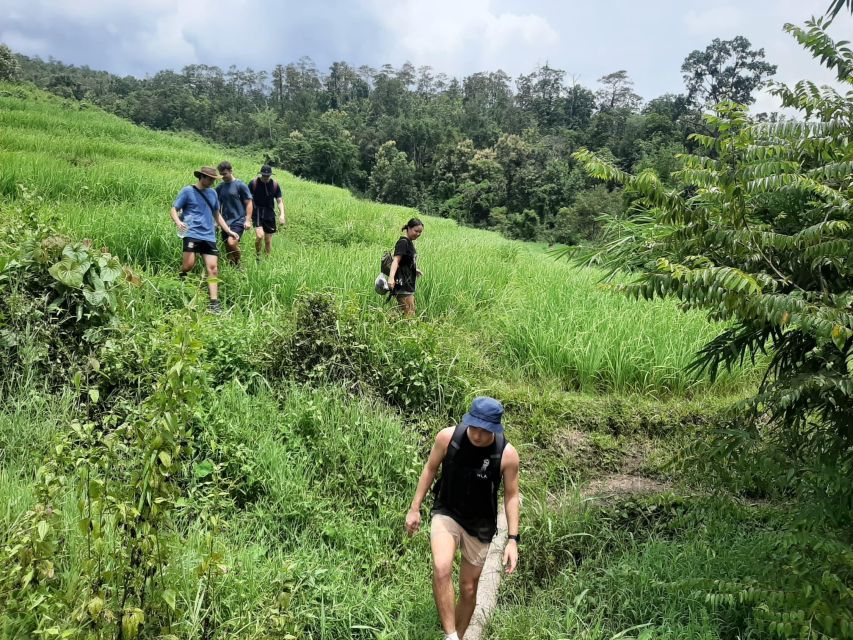 Chiang Mai: Elephant Sanctuary & Jungle Trek w/ Waterfall - Bamboo rafting on the Mae Wang River