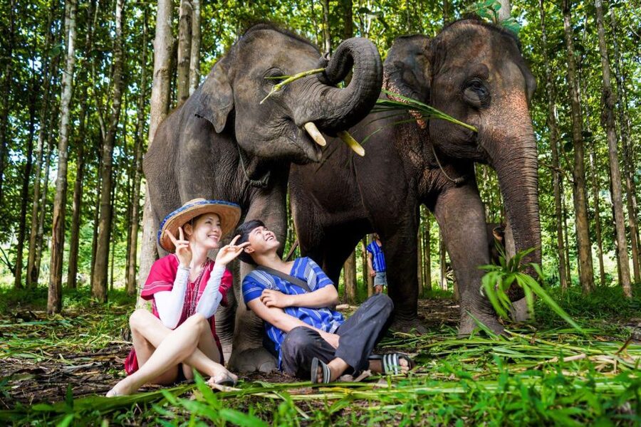 Chiang Mai: Full-Day Kerchor Elephant Eco Park Tour & Trek - The waterfall hike through quiet countryside