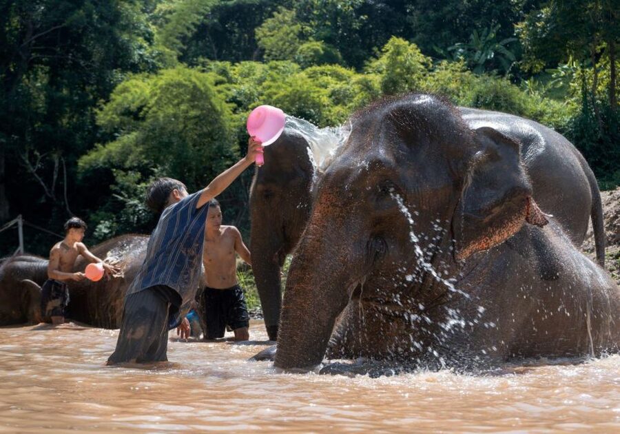 Chiang Mai: Full-Day Kerchor Elephant Eco Park Tour & Trek - What to pack for a wet, muddy day