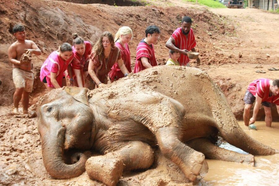 Chiang Mai: Full-Day Kerchor Elephant Eco Park Tour & Trek - The drive from Chiang Mai to Kerchor