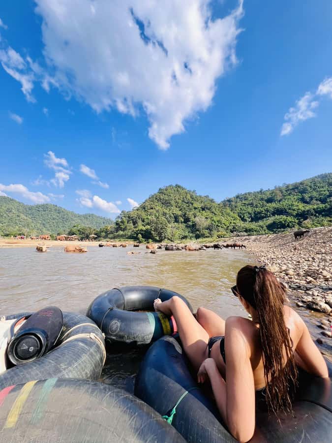 Chiang Mai Full-Day: Trekking, Tubing & Elephant Observation - The best parts of the day