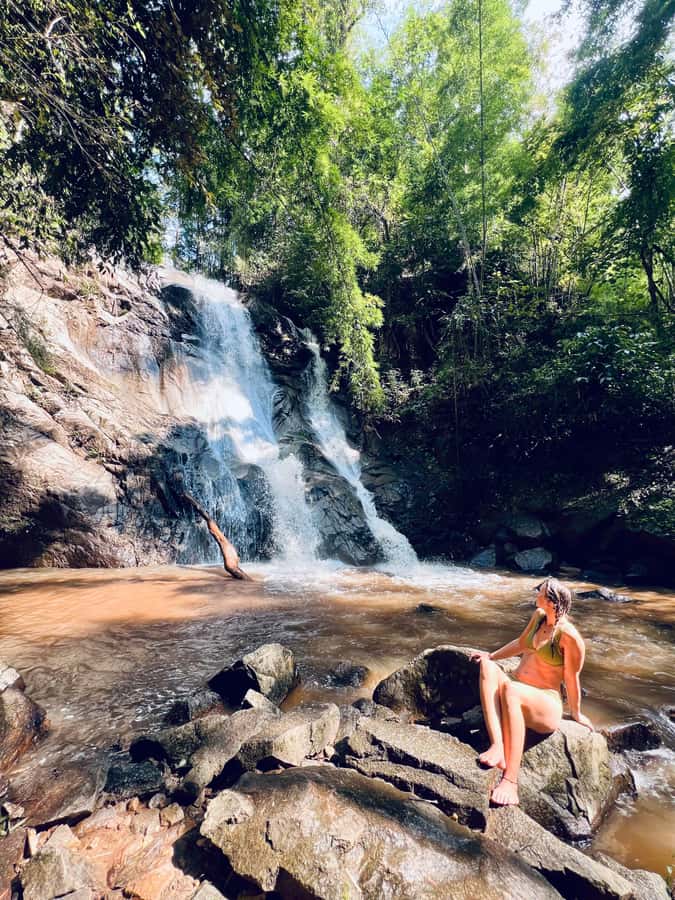 Chiang Mai Full-Day: Trekking, Tubing & Elephant Observation - Thai lunch and a useful base-camp break