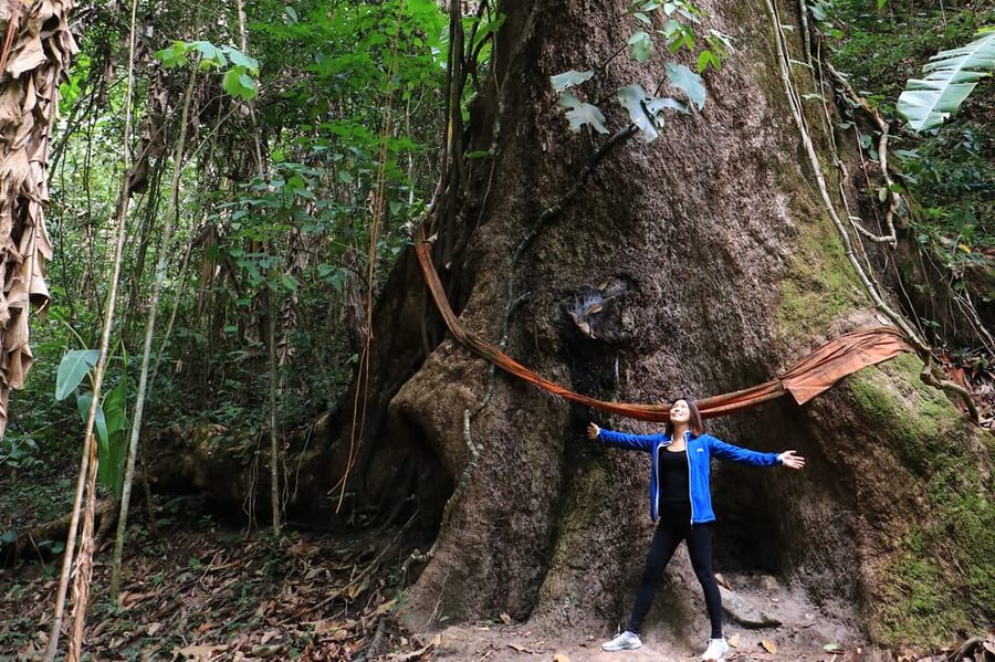 Chiang Mai: Gibbons, Trekking & Mae Kampong Small Group Tour - Why this day trip is different from a standard Chiang Mai outing